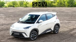 BYD Dolphin Mini sin enganche